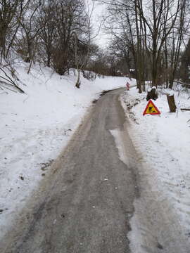 image000002(15) (002)